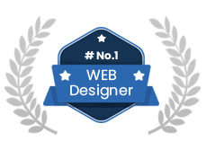 best web designer in delhi